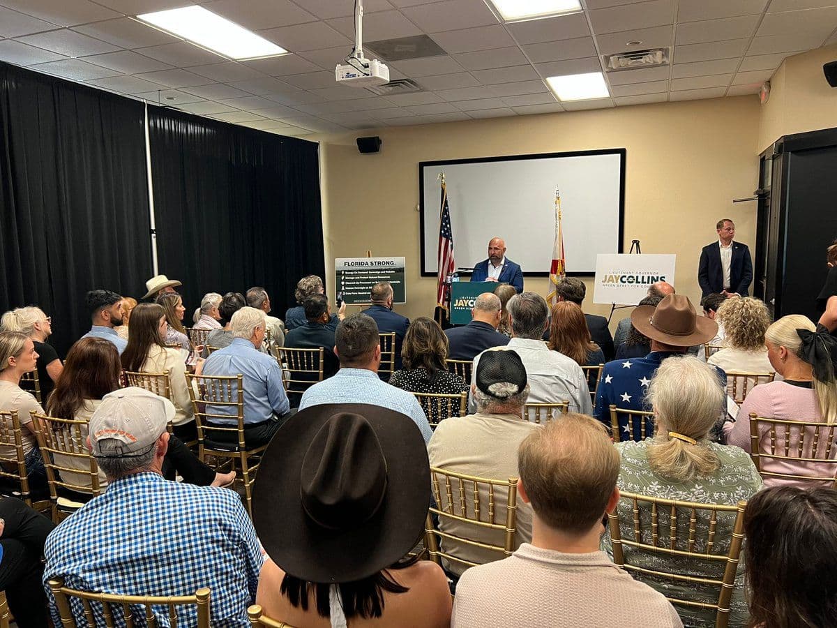 Collins announces AI data center policy proposal
