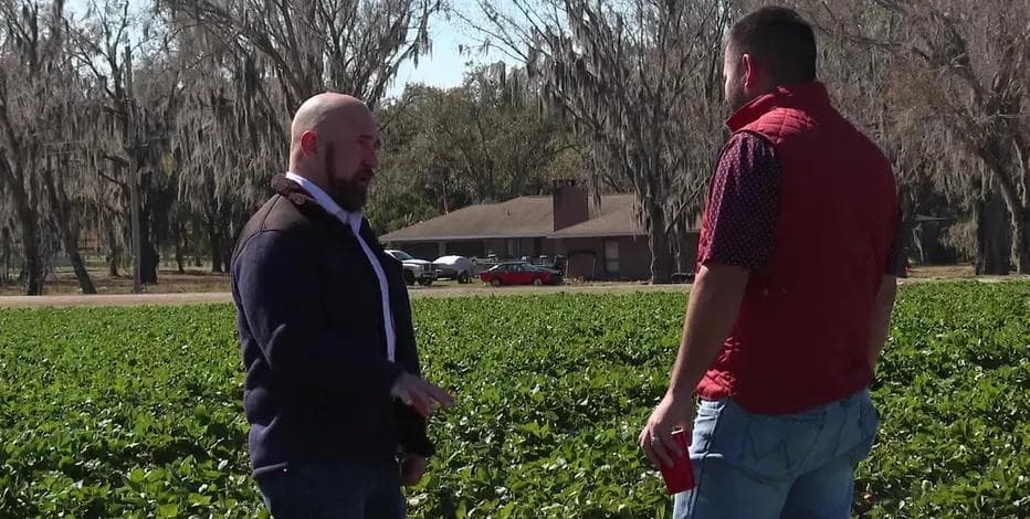 Florida freeze hits Parkesdale Farms: Why your grocery bill and Valentine’s Day could be impacted